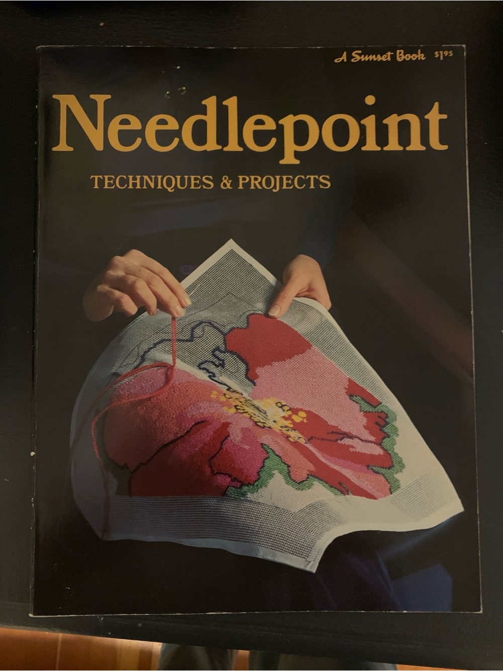 Super Cute Vintage Needlepoint Techniques & Projects Softcover Book